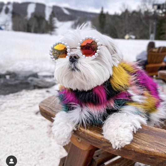 Pet Pearl Sunglasses