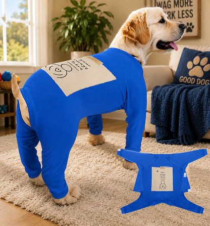 Dress Your Pet!