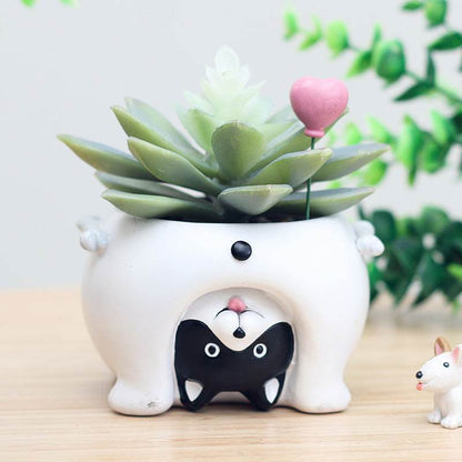 Look At The World Upside Down Succulent Plant Pots - Shop Jobie