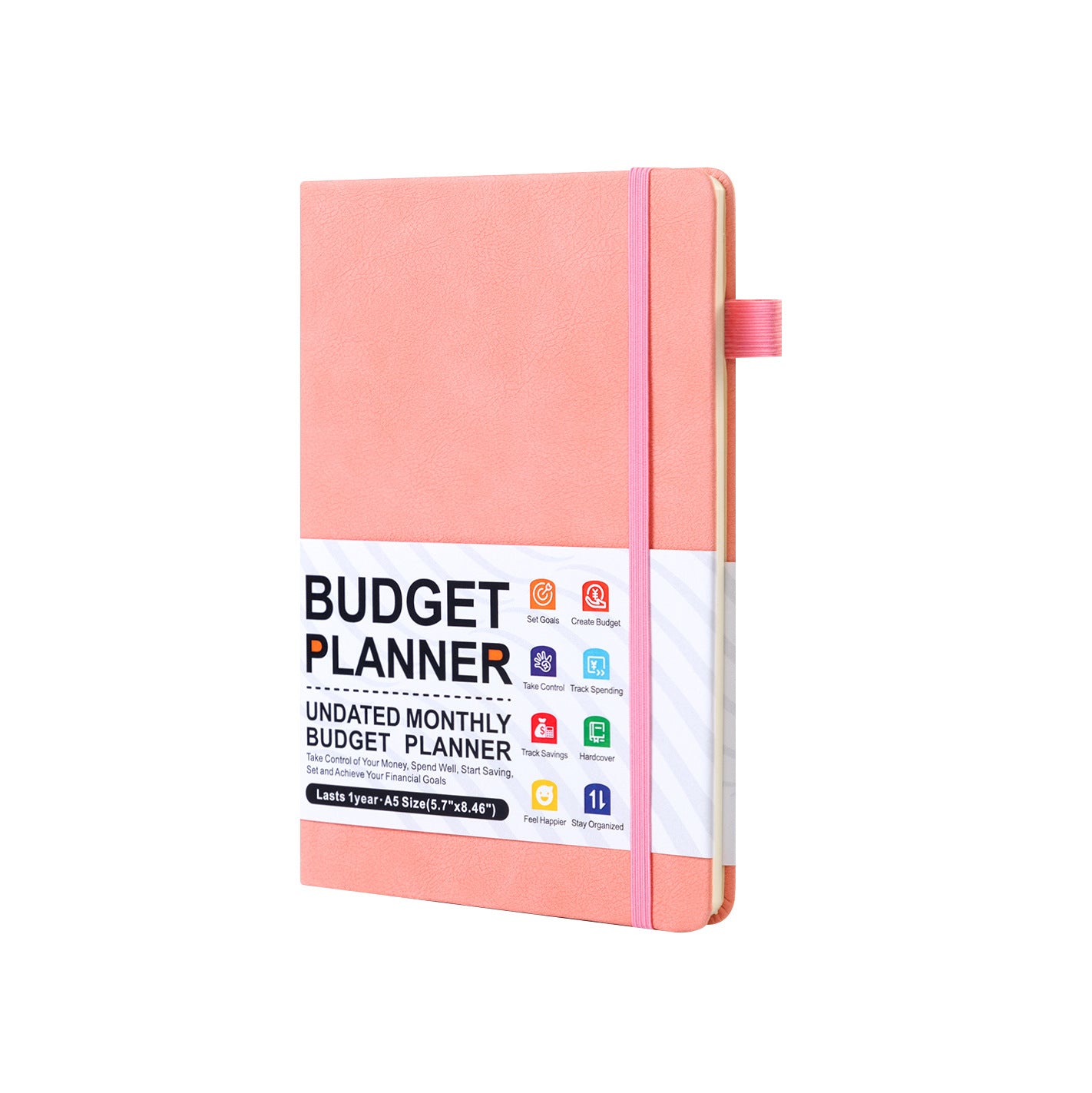 Life Skills - Budget Planner