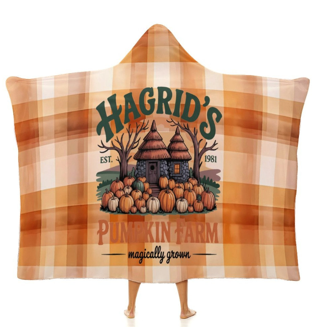 Cozie Hugs 50x60 Hooded Blankets