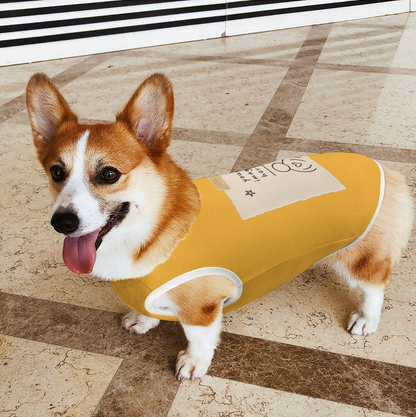 Dress Your Pet!