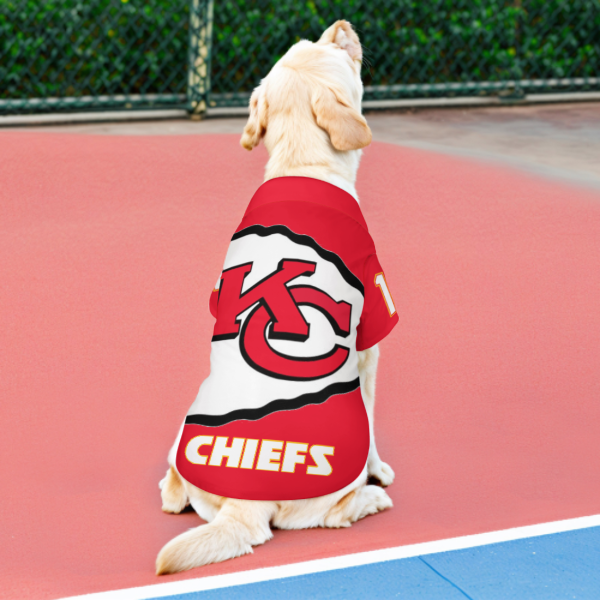 Dress Your Pet!
