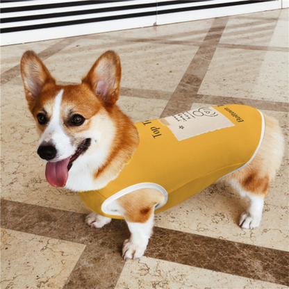 Dress Your Pet!
